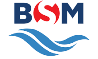 bsm